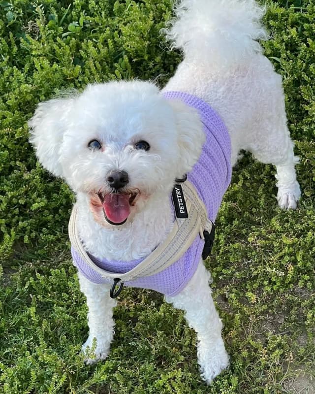 이 사진 프사감 아니냐고오💜🤍

#내겐너무귀여운김토리