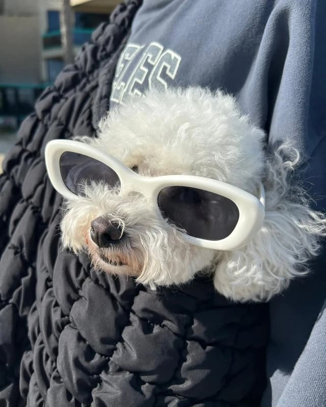 멋찐 햅재이 힙툐리😎